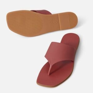 EVERLANE The Leather Thong Slide Flip Flop Sandals Burnt Sienna \\ 8